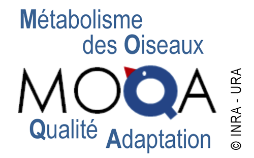 Bird Metabolism, Quality and Adaptation (MOQA)